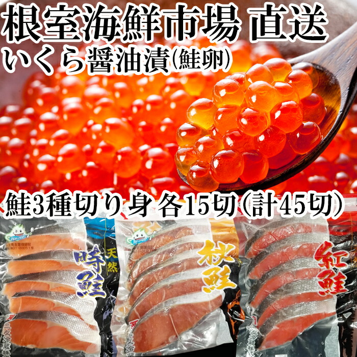 楽天市場】【ふるさと納税】【12月22日決済確定分まで年内配送】いくら醤油漬け100g×1P、紅鮭切身5切×2P A-30029 : 北海道根室市