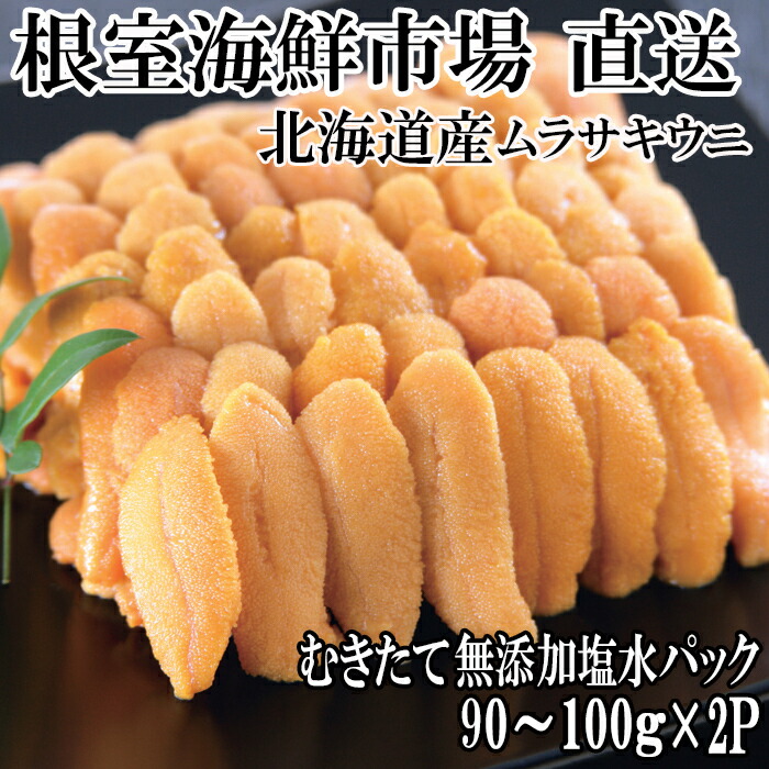 【ふるさと納税】無添加むきたてムラサキウニ塩水パック90～100g×2P[5月初旬以降発送] B-14112