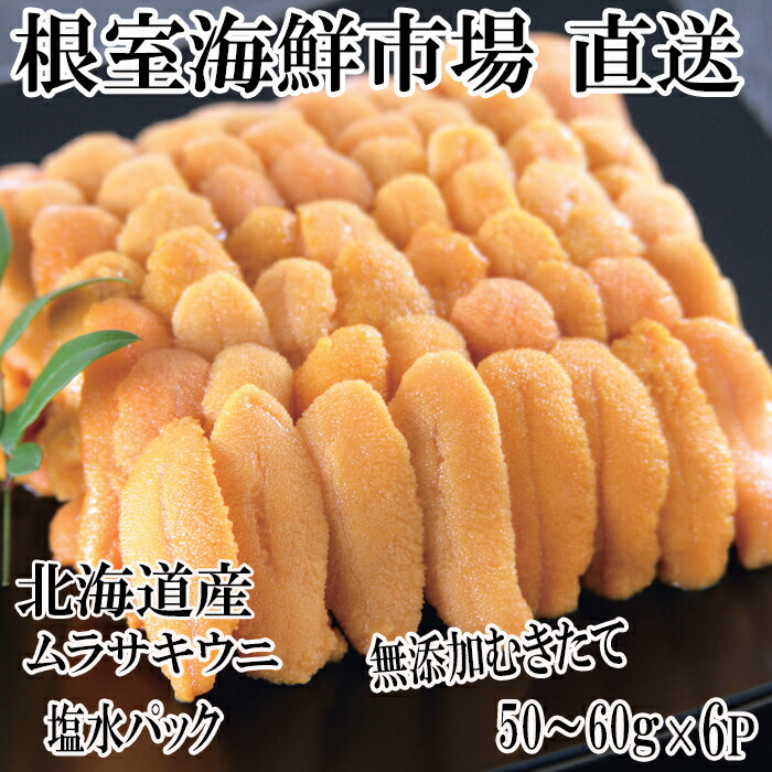【ふるさと納税】無添加むきたてムラサキウニ塩水パック50～60g×6P[5月初旬以降発送] C-14053
