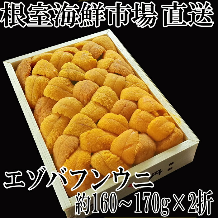 【ふるさと納税】エゾバフンウニ(黄系)160～170g×2折 D-14043