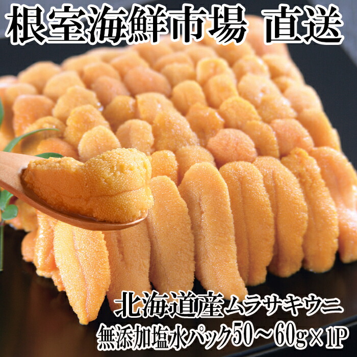 【ふるさと納税】無添加むきたてムラサキウニ塩水パック50～60g×1P[5月初旬以降発送] G-14001