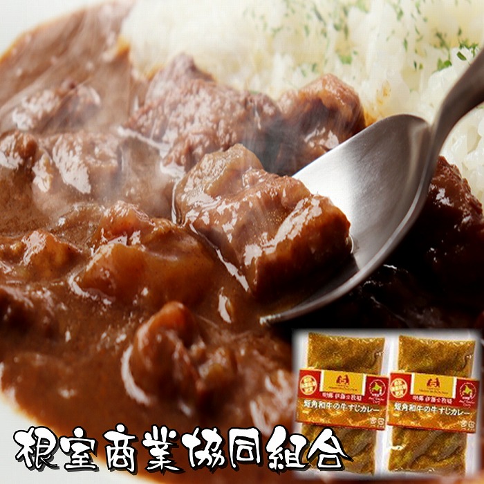 【ふるさと納税】 [北海道根室産] 短角和牛の牛すじカレー 4P 短角和牛 牛 牛肉 ビーフ 牛すじカレー 牛スジ 牛筋 カレー お取り寄せ グルメ 北海道 根室市 ふるさと納税 A-18038