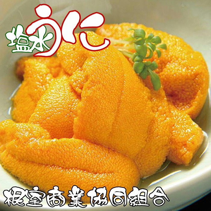 【ふるさと納税】エゾバフンウニ塩水パック60～70g 選べる1P 2P 北海道 根室市 うに