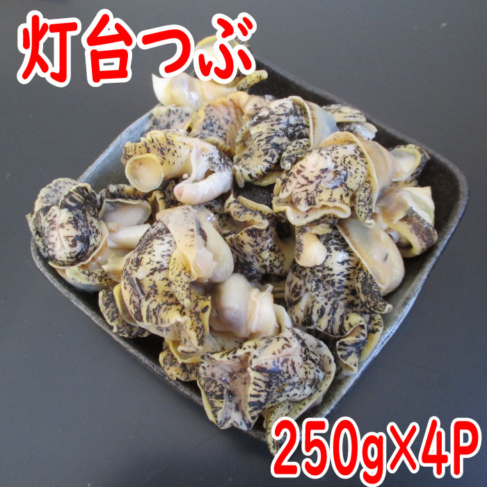 【ふるさと納税】 [北海道根室産] 灯台つぶむき身 250g × 4P つぶ ツブ つぶ貝 ツブ貝 つぶがい ツブガイ 貝 お取り寄せ グルメ 海鮮 刺身 煮物 バター焼き 北海道 根室市 ふるさと納税 A-19005 10,640円