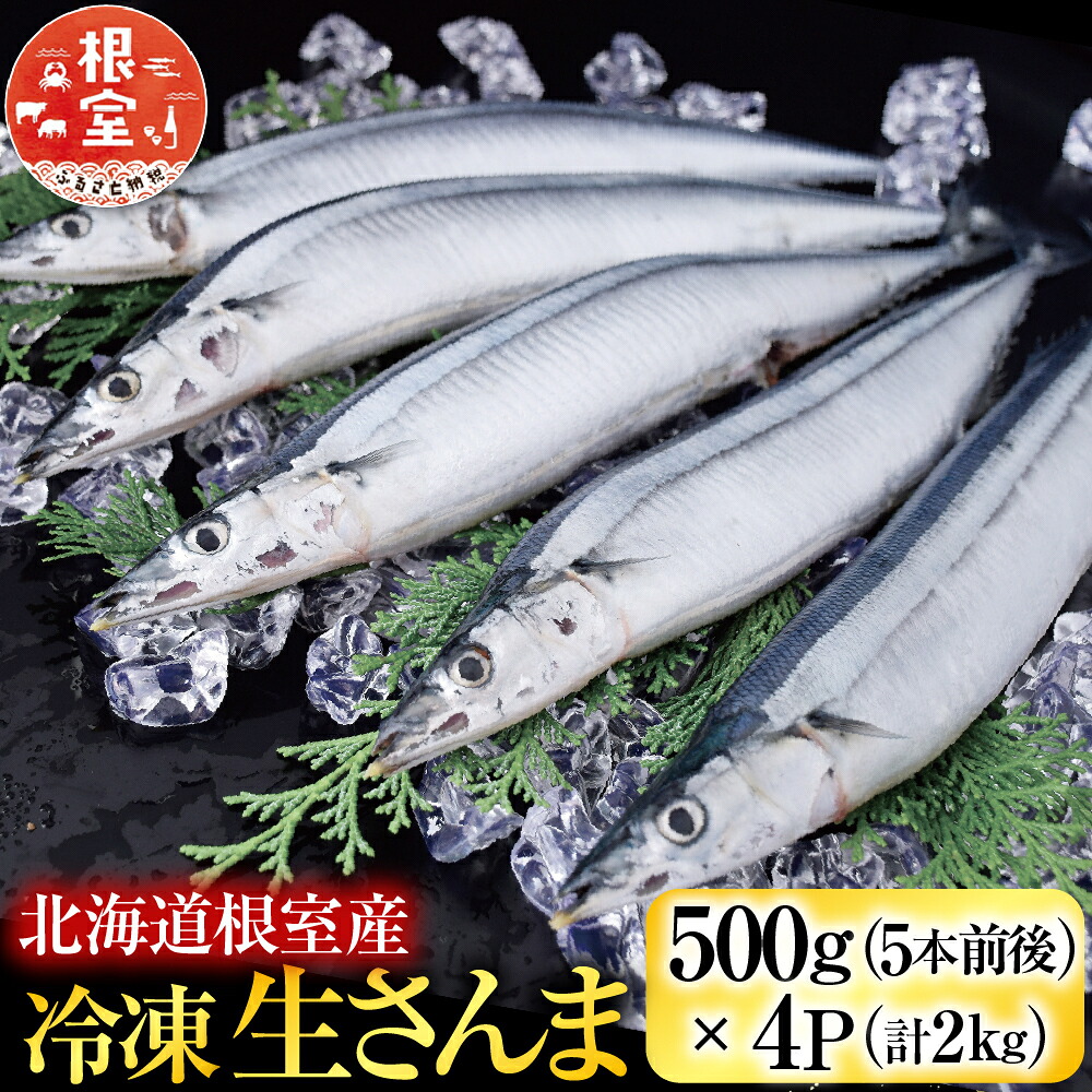 【ふるさと納税】 [北海道根室産]冷凍生さんま500g&times;4P(計2kg) A-19016｜北海道根室市