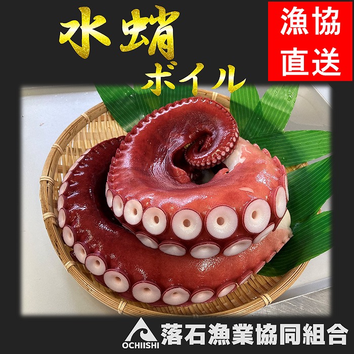 【ふるさと納税】[北海道根室産]ボイルたこ足(水蛸)ブロック3切(計1kg前後) A-20003