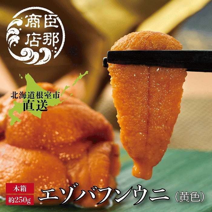 【ふるさと納税】 エゾバフンウニ ( 黄色 ) 約 250g &times; 1 折 うに ウニ 雲丹 バフンウニ エゾバフンうに えぞばふんうに 蝦夷バウンウニ 蝦夷ばふんうに ウニ丼 うに丼 雲丹丼 刺身 お取り寄せ グルメ 海鮮 北海道 根室市 D-22001｜北海道根室市