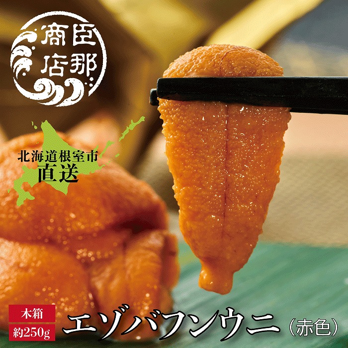 楽天市場】【ふるさと納税】【12月17日決済確定分まで年内配送