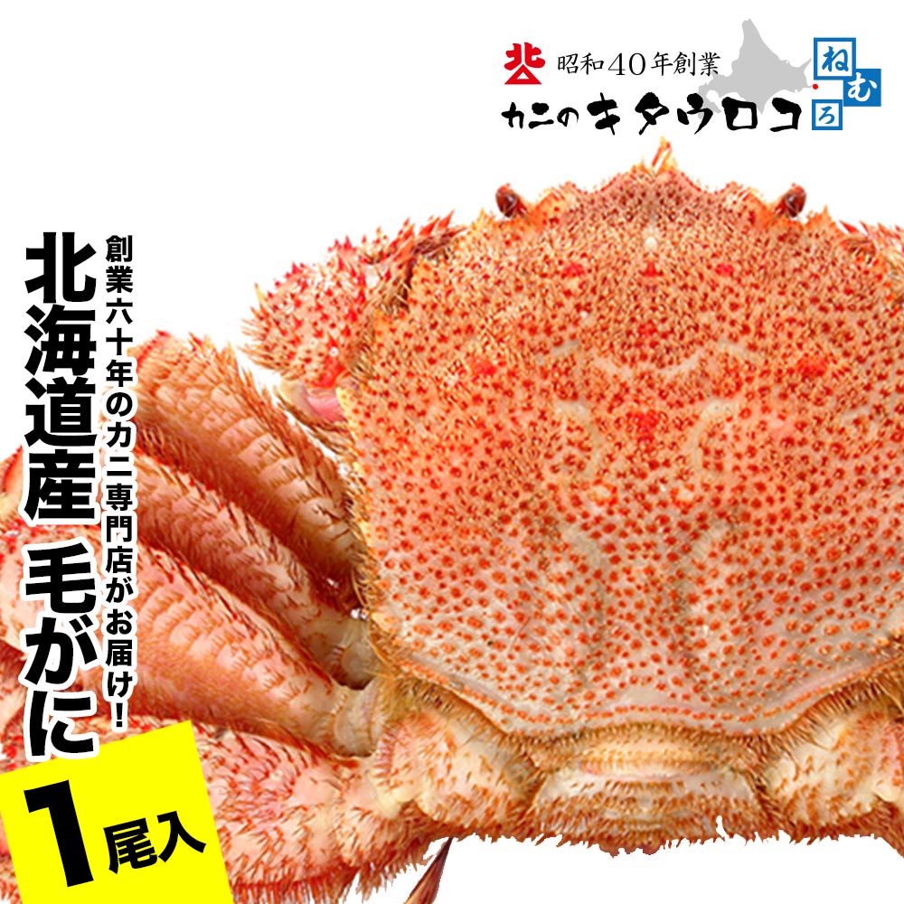 【ふるさと納税】 毛がに550g～650g前後×1尾 B-25027