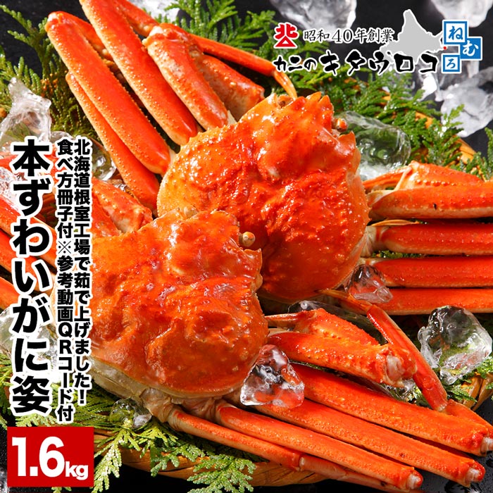 楽天市場】【ふるさと納税】ボイル本ズワイガニ姿約800g×1尾 B-14046 : 北海道根室市