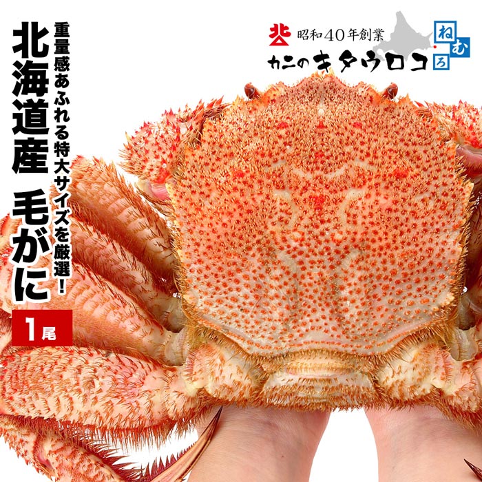 【ふるさと納税】毛がに800g～1kg C-25025