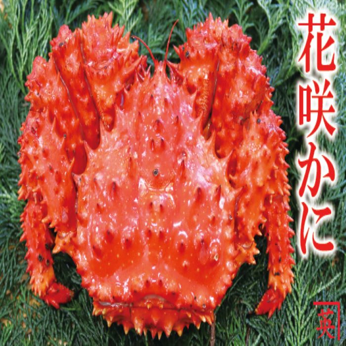 【ふるさと納税】 [北海道根室産] 花咲蟹 1 尾 ~ 3 尾 選べる かに カニ 海鮮 花咲がに 花咲 花咲かに 花咲ガニ 蟹 お取り寄せ グルメ ボイル 茹で蟹 茹でがに 茹でガニ 北海道 根室市 ふるさと納税｜北海道根室市