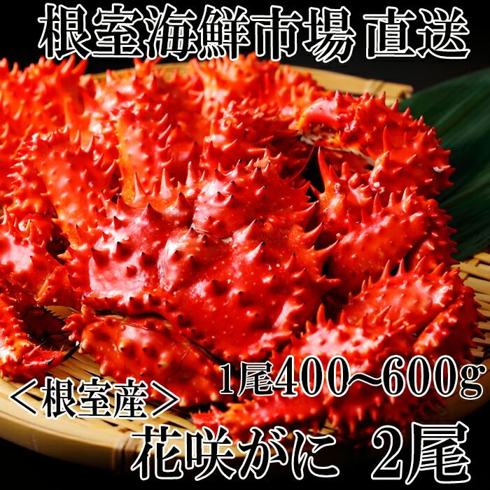 楽天市場】【ふるさと納税】 [北海道根室産]花咲がに姿(切込入り)500g×1尾 A-01018 : 北海道根室市