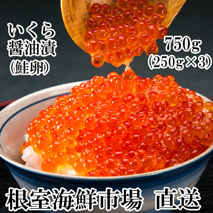 ふるさと納税 ふるさと納税 イクラ 筋子 根室海鮮市場 直送 いくら醤油漬250g 3p 計750g 魚卵 B 北海道根室市 ふるさと納税 ふるさと納税 イクラ 筋子 根室海鮮市場 直送 いくら醤油漬250g 3p 計750g 魚卵 B 北海道根室市