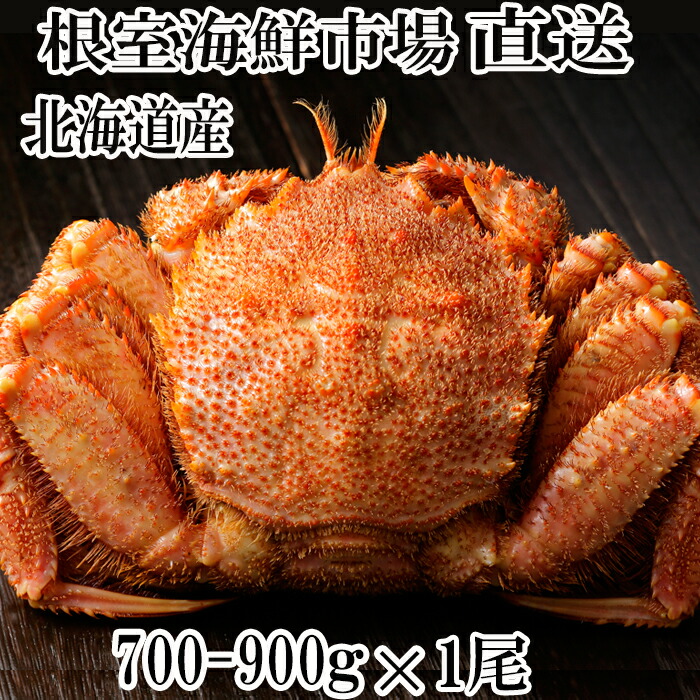 【ふるさと納税】根室海鮮市場＜直送＞ボイル毛がに 700～900g ( 1尾 4尾 ) 500～600g×1尾 600～750g ( 2尾 3尾 7尾 )   約450～550g×2尾 約900g～1.1kg×4尾  カニ かに 蟹 毛蟹 毛ガニ 北海道 根室市