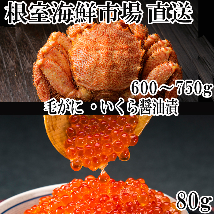 市場 ふるさと納税 北海道根室産 浜ゆで毛がに600〜700g×2尾