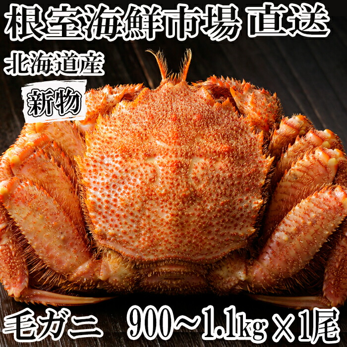【ふるさと納税】根室海鮮市場＜直送＞ボイル毛がに900g～1.1kg×1尾 D-28054