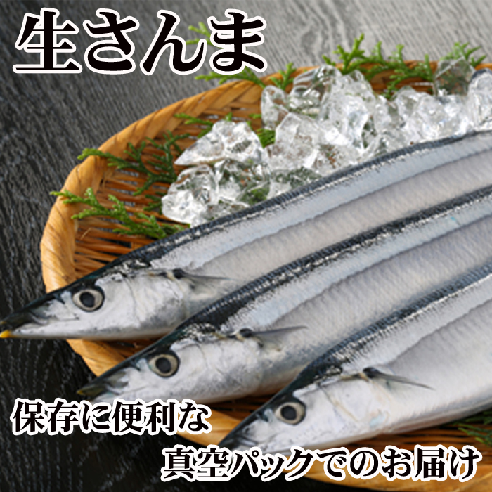 楽天市場】【ふるさと納税】[北海道根室産]根室海鮮市場＜直送＞さんま明太2尾×4P、糠さんま3尾×4P A-28183 : 北海道根室市