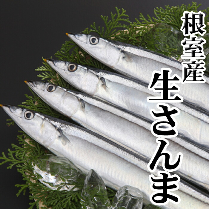 【ふるさと納税】[北海道根室産]さんま 選べる 10尾 ～ 60尾 さかな サカナ 魚 サンマ 秋刀魚 北海道 根室市