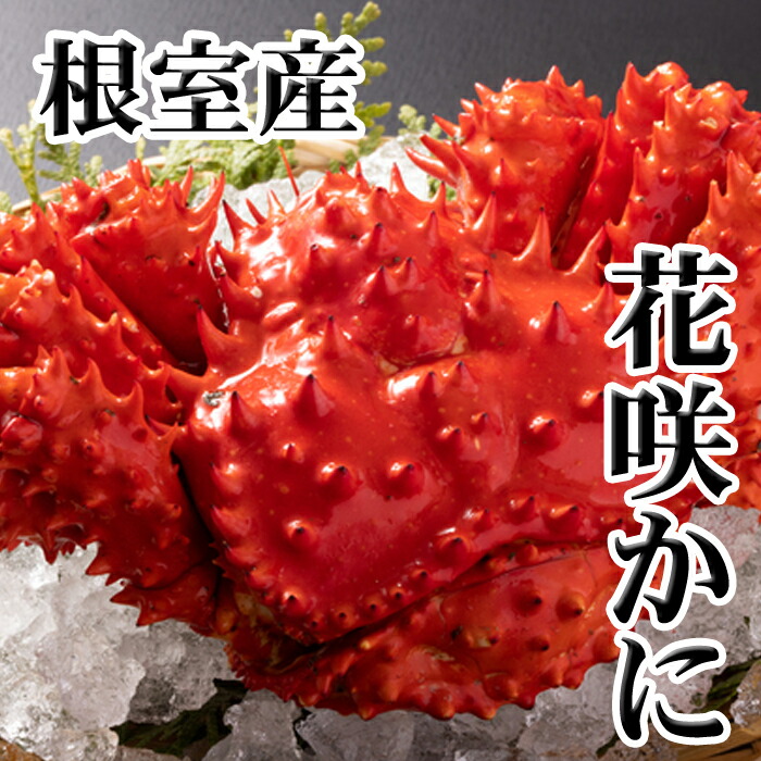 楽天市場】【ふるさと納税】[北海道根室産]クリガニ15〜21尾(計