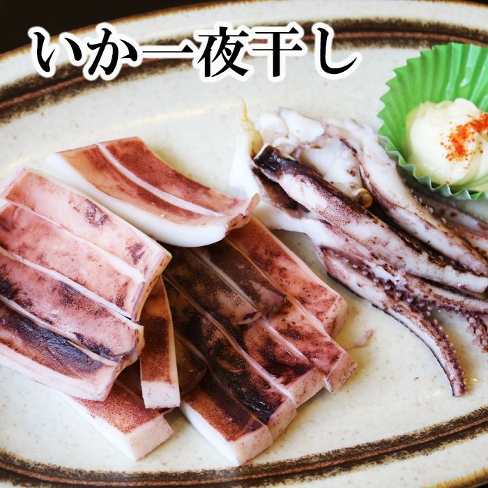 【ふるさと納税】いか一夜干し 選べる 6P ～ 10P イカ 干物 海鮮 北海道 根室市