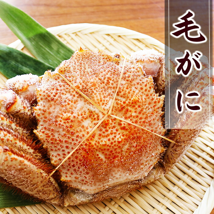 【ふるさと納税】毛がに 選べる 570g ～ 850g 毛ガニ 蟹 海鮮 北海道 根室市