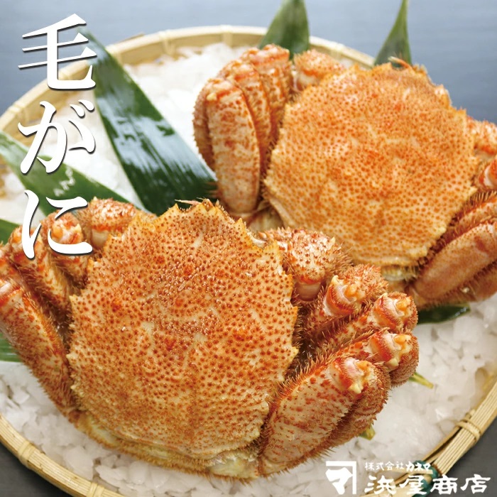 【ふるさと納税】毛がに 500g&times;2尾 B-32059｜北海道根室市