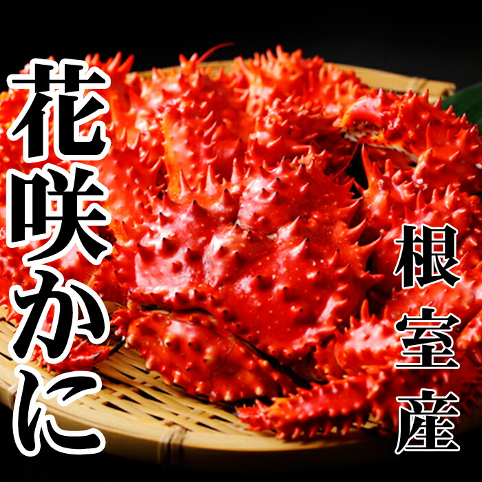【ふるさと納税】[北海道根室産]花咲かに500～650g×2尾 A-36054