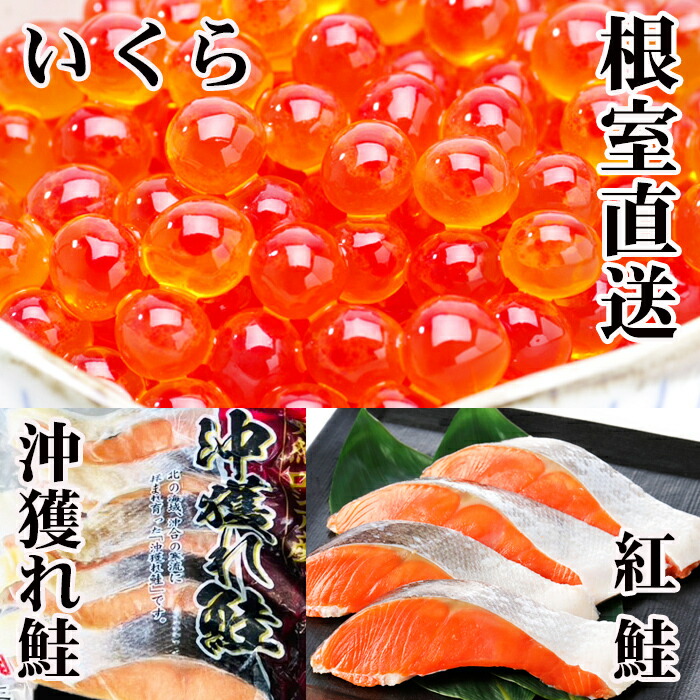【ふるさと納税】 甘塩紅鮭5切×10P、甘塩沖獲れ鮭5切×10P、いくら醤油漬け100g×5Pセット サケ さけ しゃけ シャケ 紅ザケ べにざけ ベニザケ イクラ 醤油 醤油漬 魚卵 鮭卵 お取り寄せ グルメ 海鮮 北海道 根室市 E-36002|北海道根室市