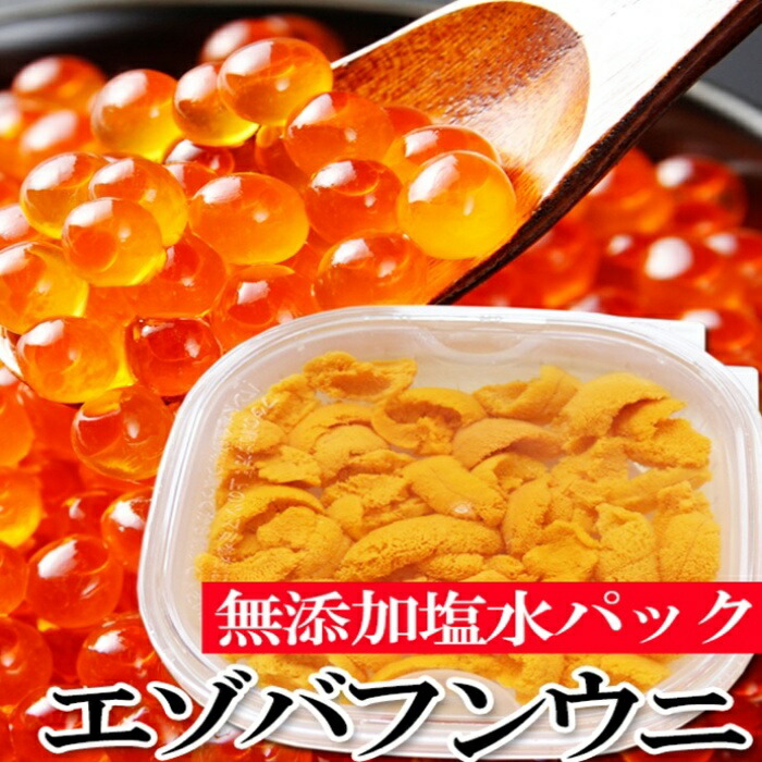 中古】 エゾバフンウニ塩水パック150g×1P いくら醤油漬150g×1P 2022年11月中旬以降発送 D-40029 fucoa.cl