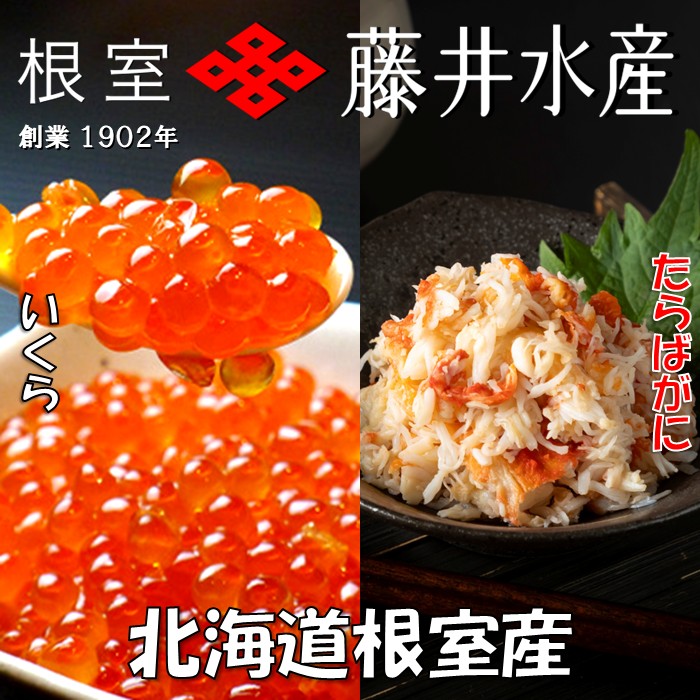 伊予だぬきさん専用富貴蘭　湖東錦(斑入り) 湖東錦中斑 - 野村風蘭研究室（佳風庵）