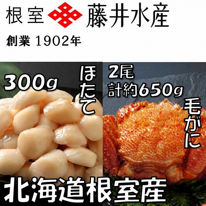 ギフ_包装 計約650g 北海道根室産 ボイル毛がに2尾 お刺身帆立貝柱300g B-42074 魚介類・水産加工品