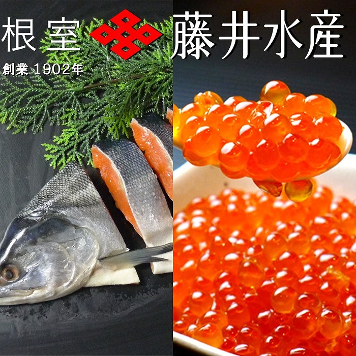 【ふるさと納税】 紅鮭姿切り 1.2kg × 1P ・いくら醤油漬け 70g × 1P 鮭 さけ サケ しゃけ シャケ 魚 さかな サカナ 紅ざけ 紅ザケ べにざけ ベニザケ イクラ 醤油 醤油漬 魚卵 鮭卵 お取り寄せ グルメ 海鮮 北海道 根室市 B-42107