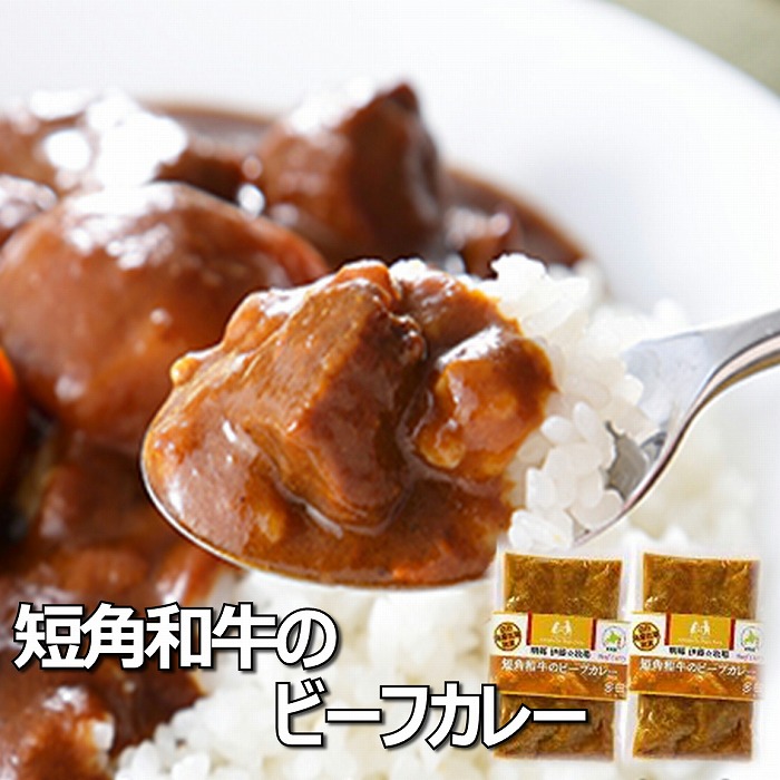 【ふるさと納税】 [北海道根室産] 短角和牛のビーフカレー 4P 短角和牛 牛 牛肉 ビーフ カレー お取り寄せ グルメ 北海道 根室市 ふるさと納税 A-43017｜北海道根室市