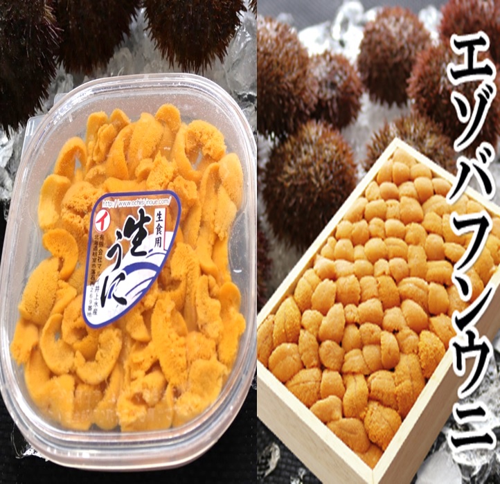 品質満点！ エゾバフンウニ150g×1折 塩水パック150g×1P 2022年11月中旬以降発送 D-53036 fucoa.cl