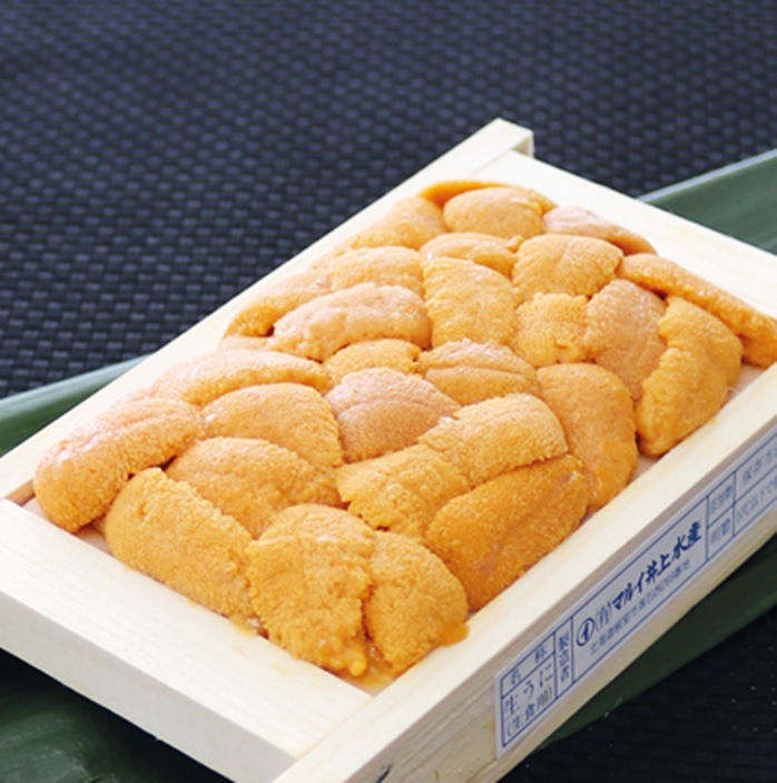 【ふるさと納税】エゾバフンウニ(赤系)約50～60g&times;1折[11月下旬以降発送] G-53001｜北海道根室市