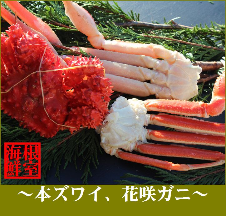 【ふるさと納税】 ズワイガニ 1 ～ 2 肩と花咲ガニ 1 ～ 2 尾セット 花咲がに 花咲 花咲かに 花咲蟹 かに カニ ズワイ ずわい ずわいがに ズワイ蟹 ずわい蟹 蟹 お取り寄せ グルメ 海鮮 北海道 根室市 ふるさと納税 A-57002