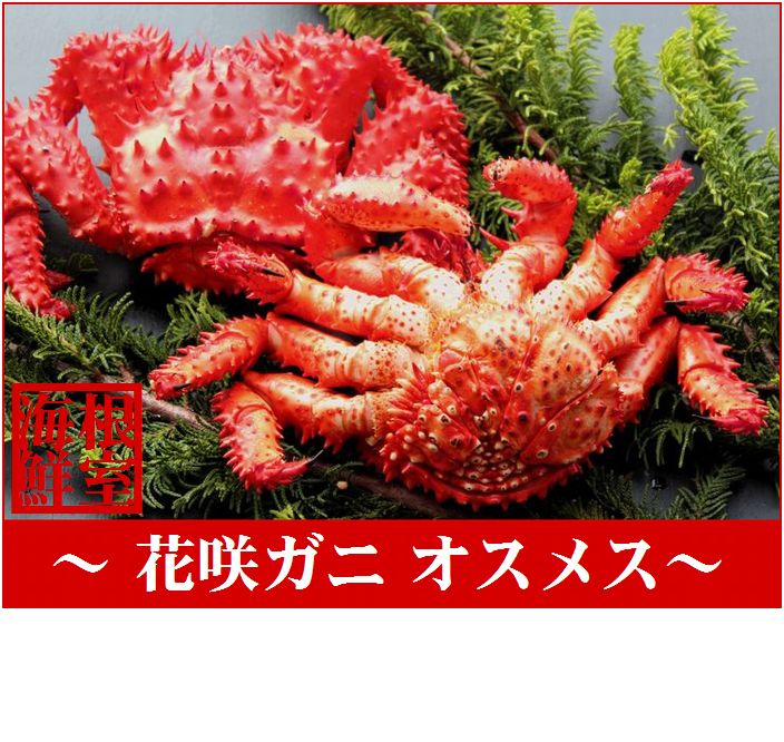 【ふるさと納税】 [北海道根室産] 花咲ガニオスメス各 1 尾 ( 計 1kg 前後 ) 花咲がに 花咲 花咲かに 花咲蟹 かに カニ 蟹 お取り寄せ グルメ 海鮮 北海道 根室市 ふるさと納税 A-57008