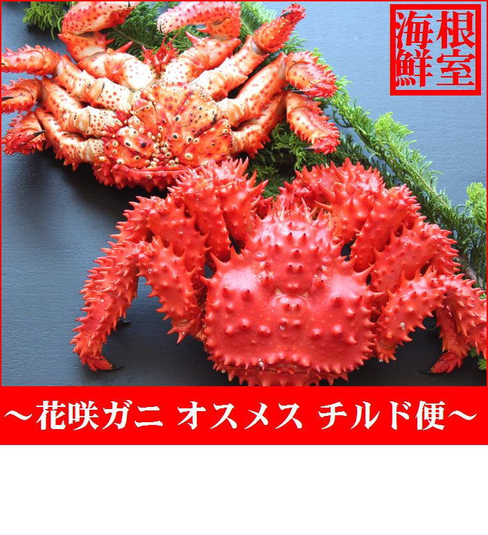 楽天市場】【ふるさと納税】 [北海道根室産]花咲がに姿(切込入り)500g×1尾 A-01018 : 北海道根室市