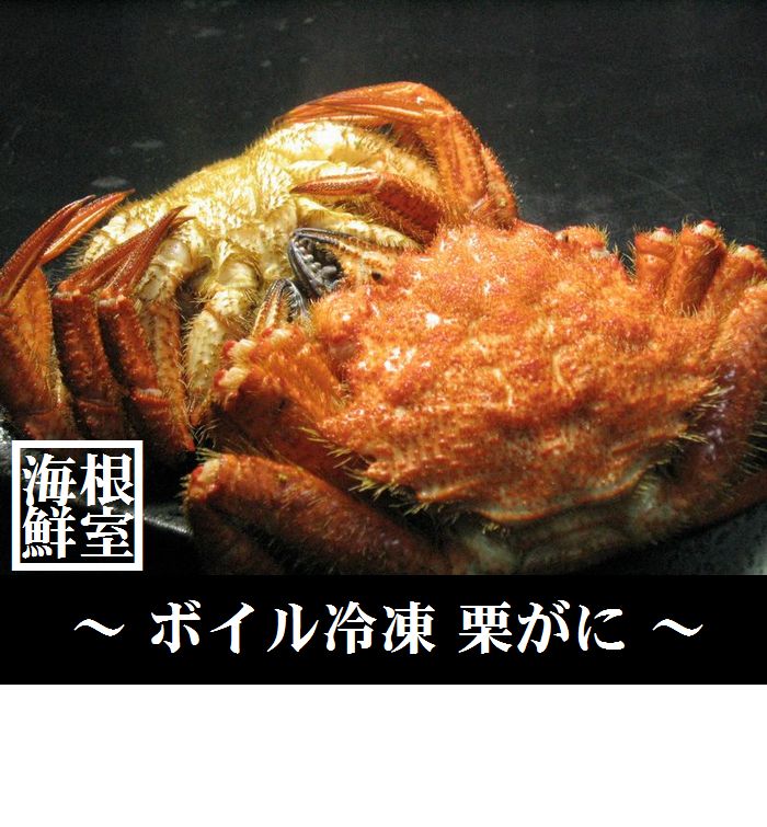 韓国 青磁 茶道具 茶釜 風炉釜 香炉 置物 青磁 床の間飾り 特大