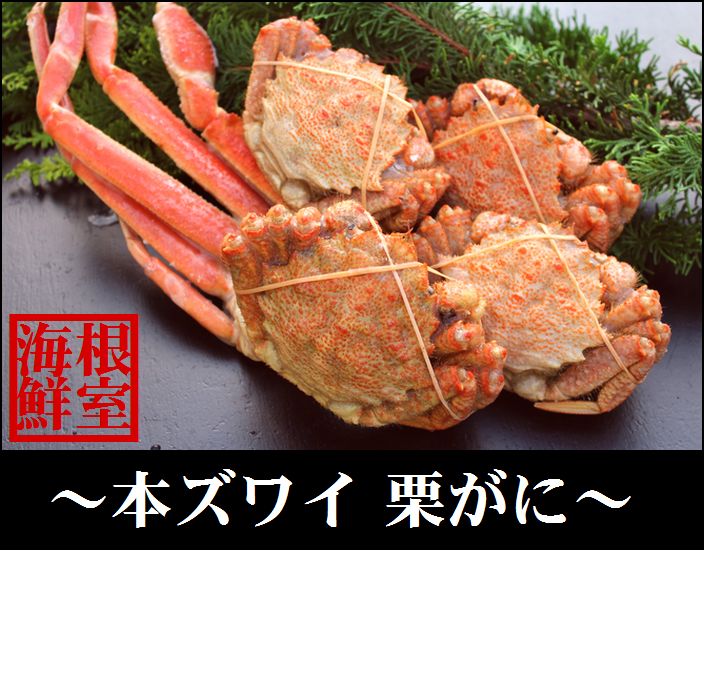 クリガニ　オス10キロ詰め クリガニ オス10キロ詰め