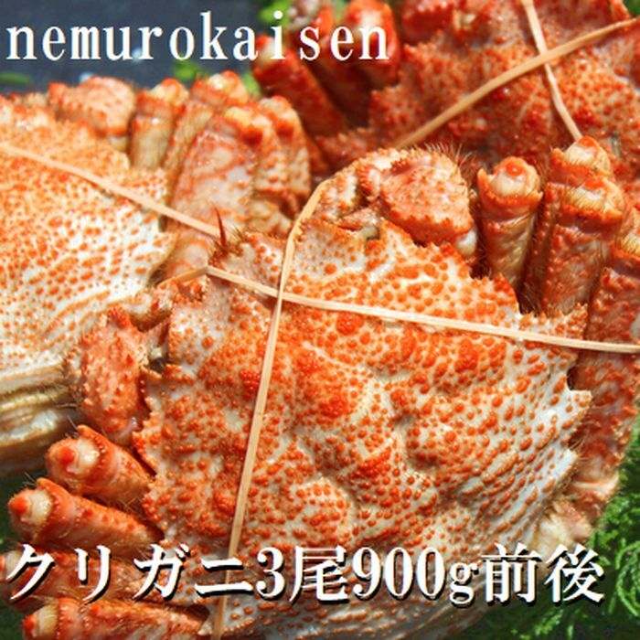【ふるさと納税】 [北海道根室産] クリガニ 3 尾 ( 計 900g 前後 ) クリがに くりがに クリかに くり蟹 クリ蟹 かに カニ 蟹 お取り寄せ グルメ 海鮮 北海道 根室市 ふるさと納税 A-57057