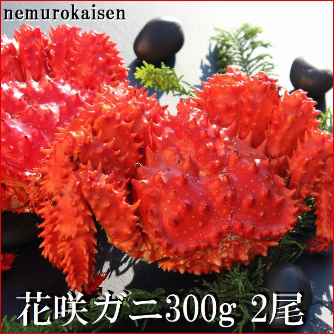 【ふるさと納税】 [北海道根室産] 花咲ガニ 300g × 2 尾 花咲がに 花咲 花咲かに 花咲蟹 かに カニ 蟹 お取り寄せ グルメ 海鮮 北海道 根室市 ふるさと納税 A-57060