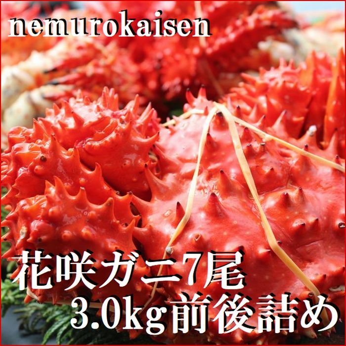 【ふるさと納税】 [北海道根室産] 花咲ガニ 7 尾 ( 計 3.0kg 前後 ) 花咲がに 花咲 花咲かに 花咲蟹 かに カニ 蟹 お取り寄せ グルメ 海鮮 北海道 根室市 ふるさと納税 C-57054