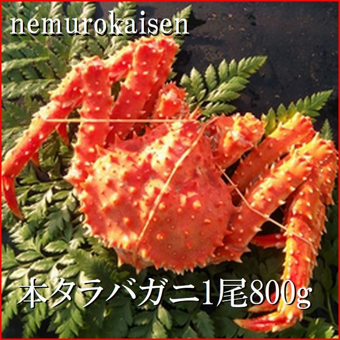 【ふるさと納税】 [北海道根室産]本タラバガニ800g前後×1尾 C-57059
