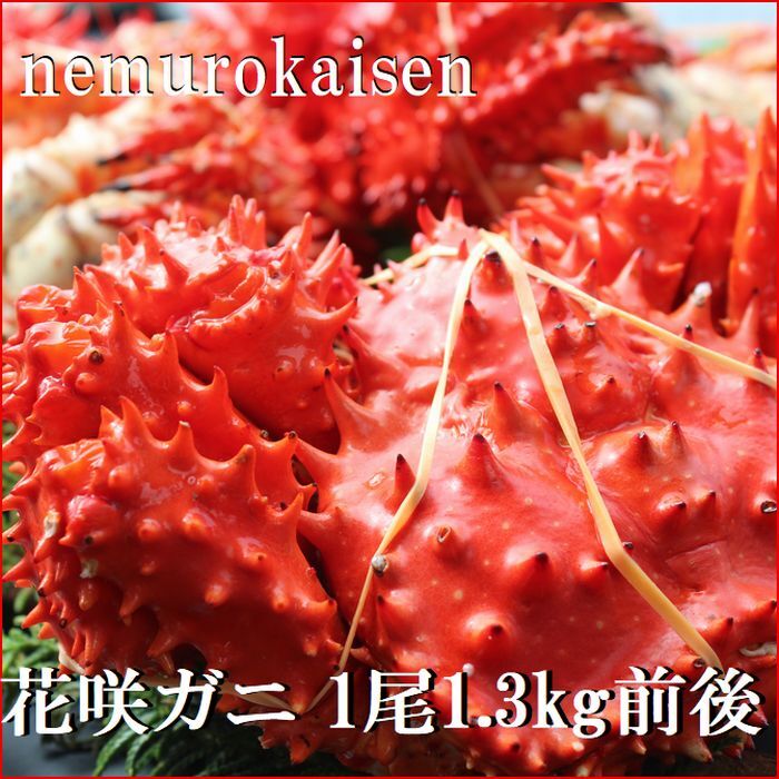 【ふるさと納税】[北海道根室産]花咲ガニ1.3kg前後 D-57038