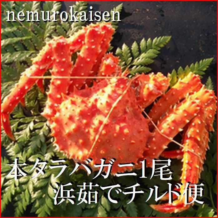 【ふるさと納税】 [北海道根室産](チルド便)本タラバガニ900g前後×1尾 D-57050