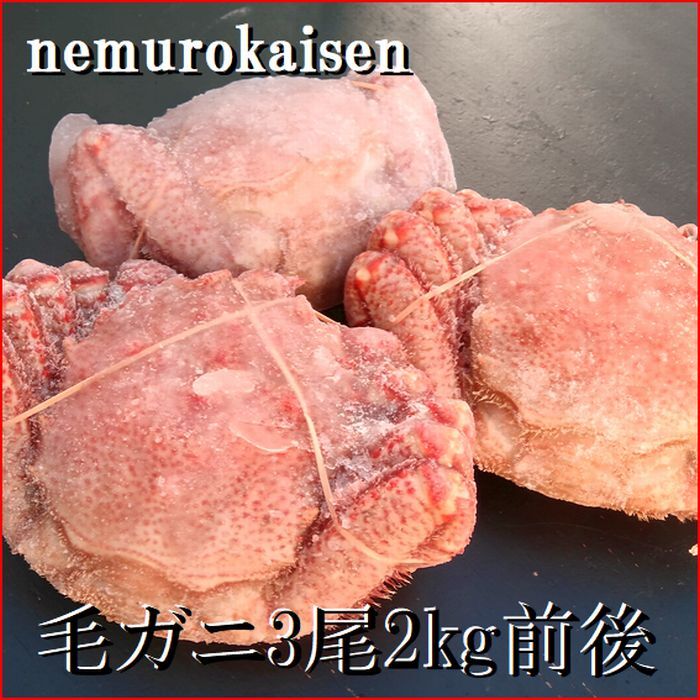 【ふるさと納税】 [北海道根室産] 毛がに 3 尾 ( 計 2kg 前後 ) 毛ガニ 毛蟹 けがに ケガニ かに カニ 蟹 お取り寄せ グルメ 海鮮 ミソ カニミソ カニ味噌 蟹味噌 かに味噌 北海道 根室市 ふるさと納税 E-57007