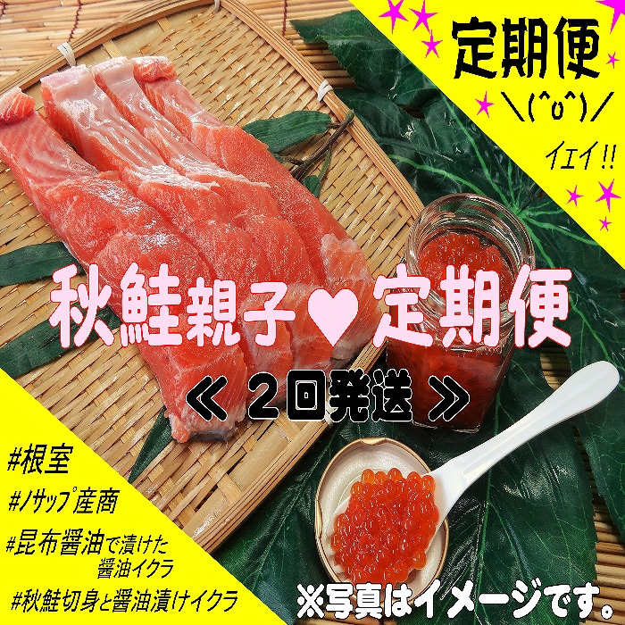 【ふるさと納税】 ＜定期便＞ [北海道根室産] 秋鮭親子 B コース定期便 ( 2 回発送 ) さけ サケ シャケ 鮭 秋ざけ 秋ザケ あきざけ アキザケ いくら イクラ 醤油 醤油漬 醤油漬け 魚卵 鮭卵 お取り寄せ グルメ 海鮮 北海道 根室市 ふるさと納税 D-59011