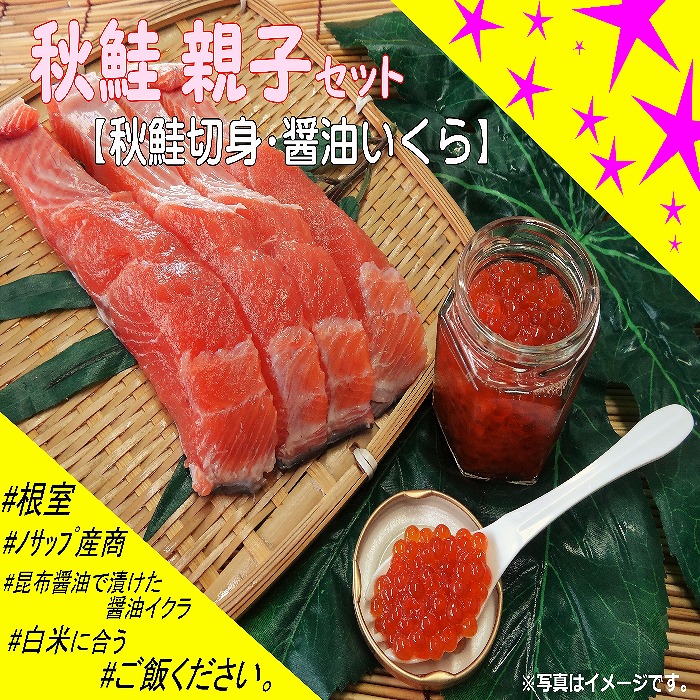 【ふるさと納税】 [北海道根室産] 秋鮭親子セット 鮭 さけ サケ いくら イクラ 秋ざけ 秋ザケ あきざけ アキザケ 魚 さかな サカナ お取り寄せ グルメ 海鮮 北海道 根室市 ふるさと納税 D-59013